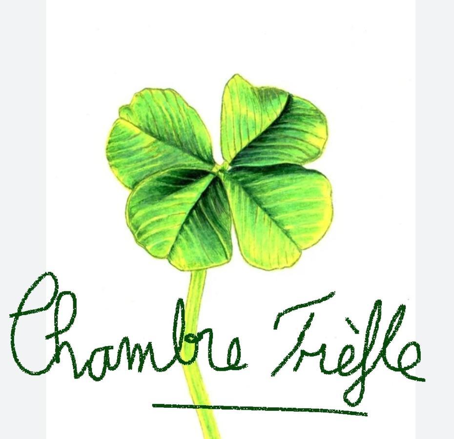 Chambre Trefle Entremont ภายนอก รูปภาพ
